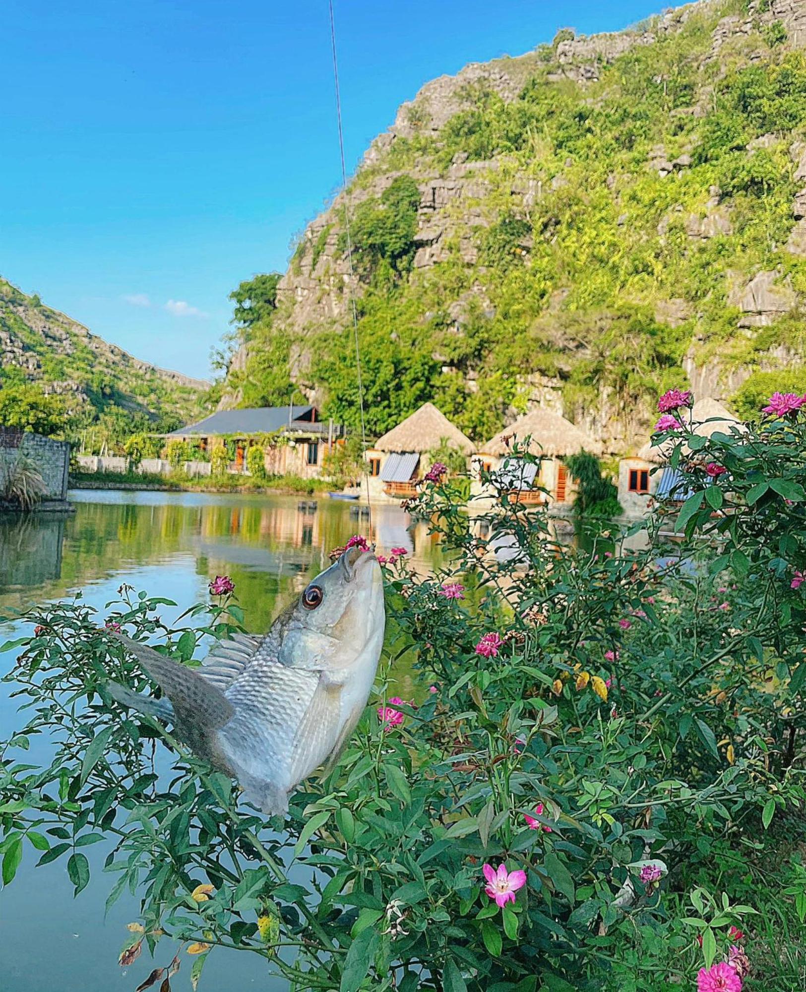 Hang Mua Eco Garden Xuan Son エクステリア 写真